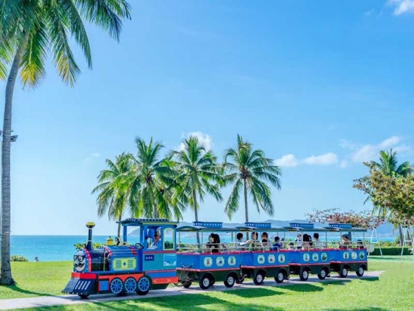 機(jī)械動力類