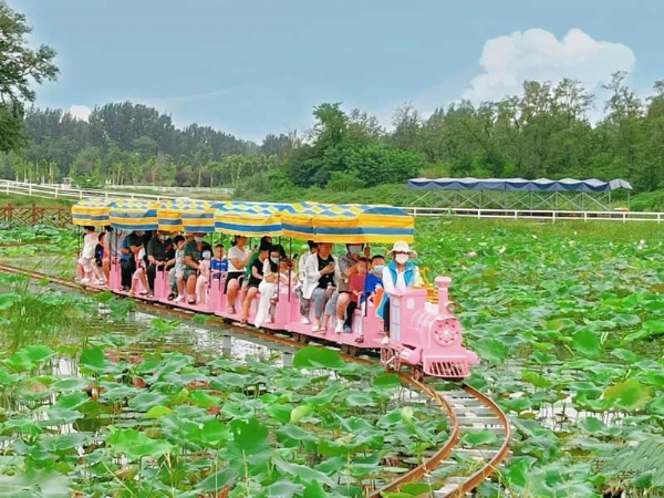 機(jī)械動力類