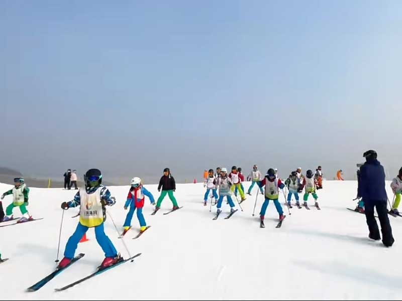 微信圖片_202504051547471